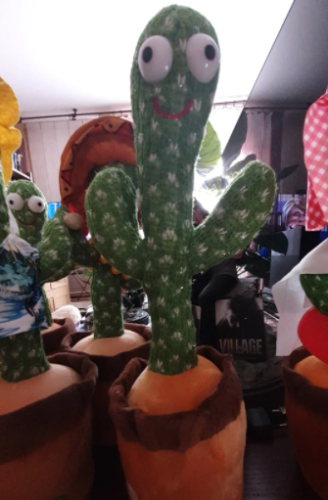 Famous Cactus Talking Toy photo review